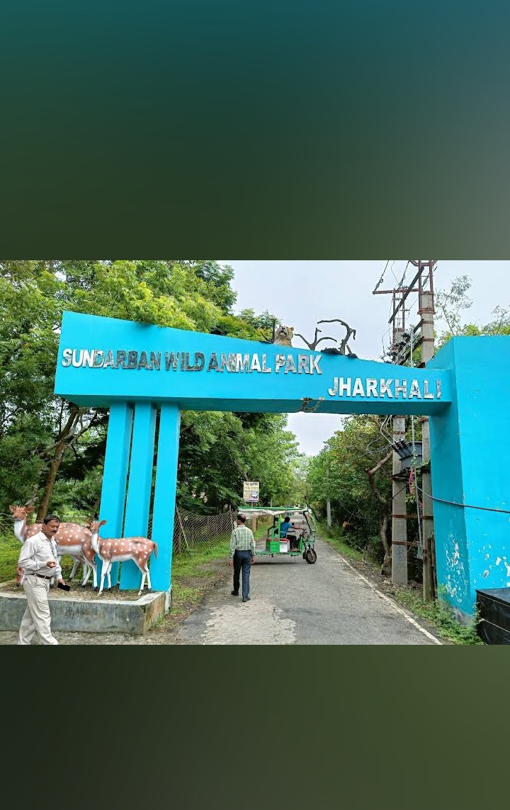 Sundarban Tour Photo